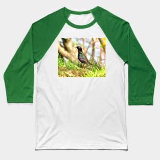 Beautiful starling Baseball T-Shirt